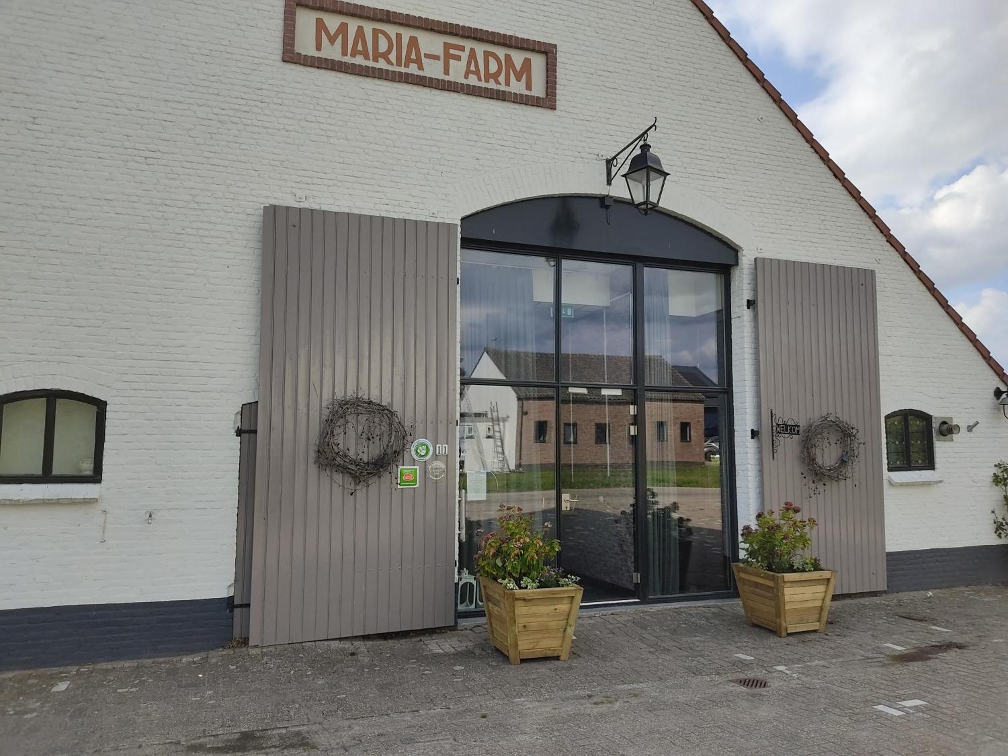 Mariafarm Bed and Breakfast Zevenbergen Eksteriør billede