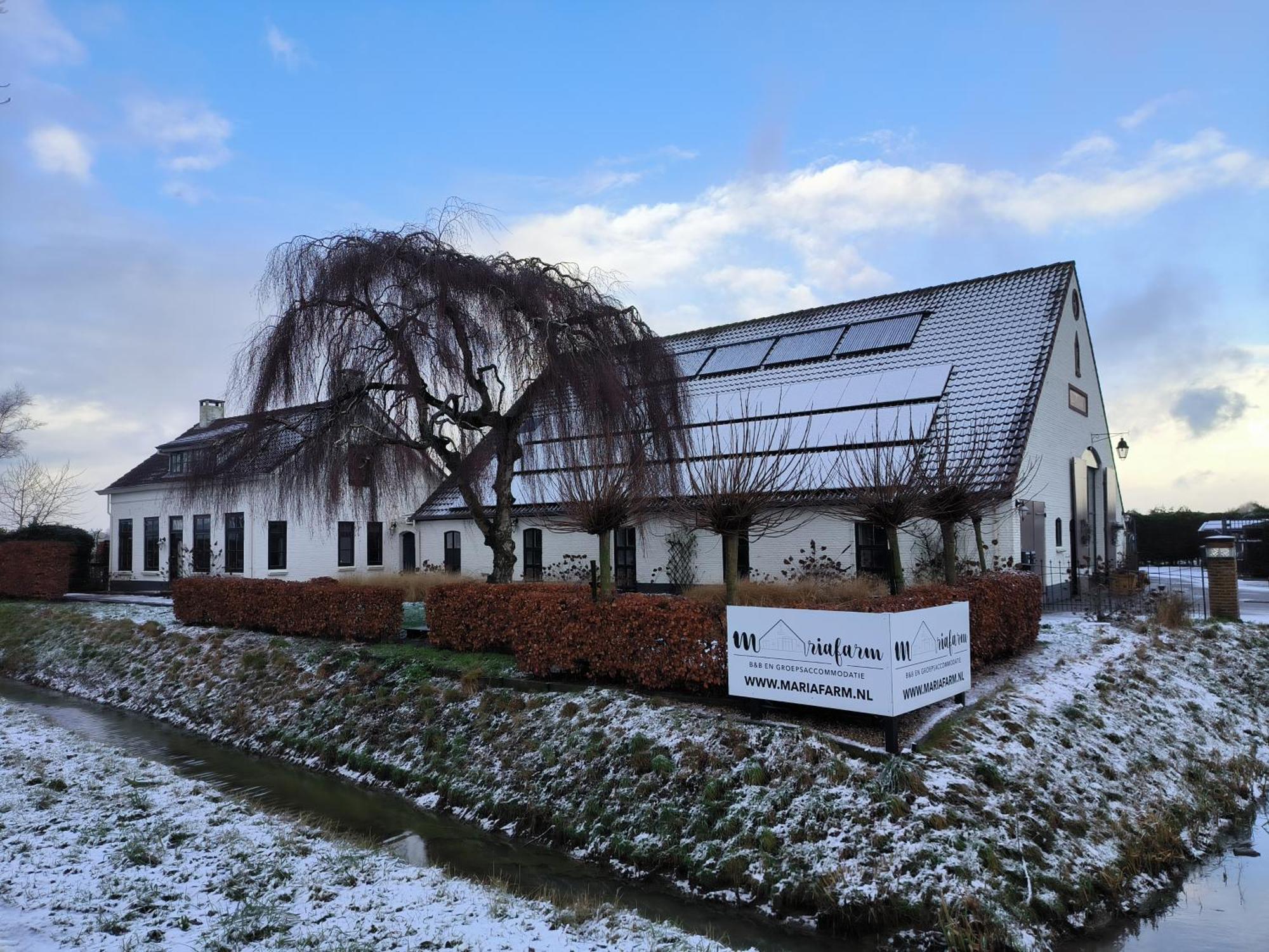 Mariafarm Bed and Breakfast Zevenbergen Eksteriør billede